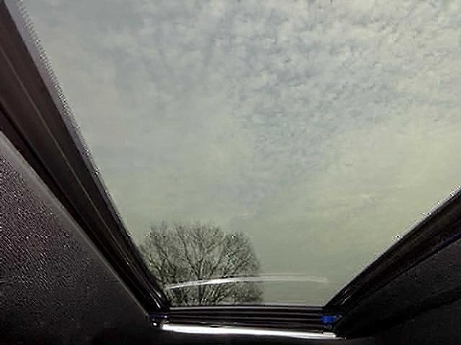 2024 Toyota Tacoma 4WD Limited