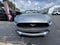 2023 Ford Mustang EcoBoost